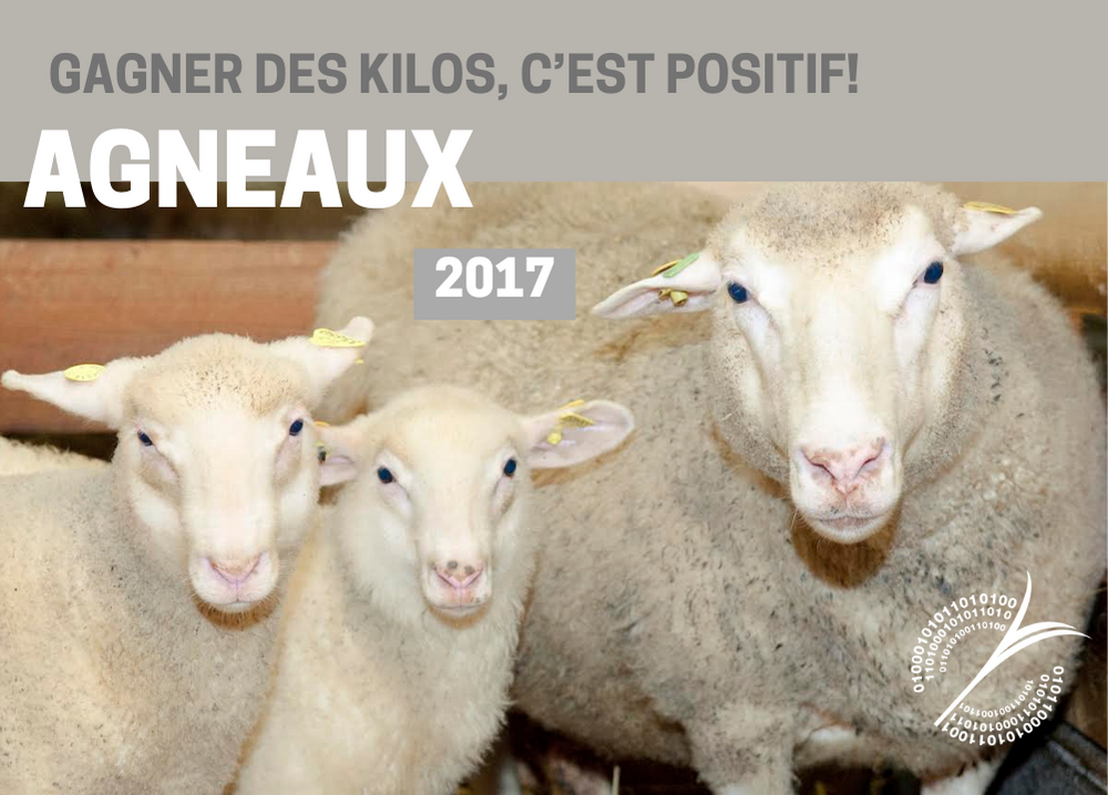 Articles : GAGNER DES KILOS, C'EST POSITIF! - AGNEAUX 2017